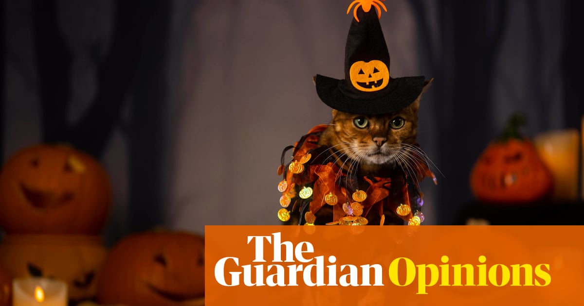 It’s my first Halloween in the UK for two decades – and my American children are not impressed | Emma Brockes