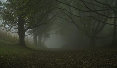 Horror vibes in Malvern Hills