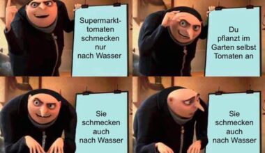 ich🍅iel