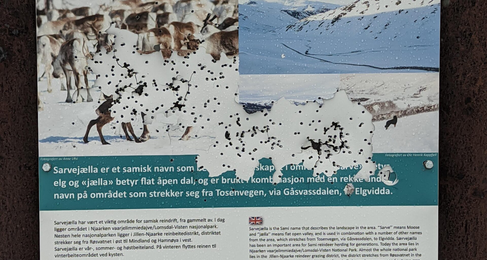 Saw a sami reindeer sign full of bullet holes - how are Sami rights viewed in Norway?