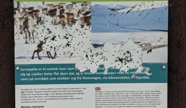 Saw a sami reindeer sign full of bullet holes - how are Sami rights viewed in Norway?