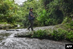 Indigenous environmental interpreter Alvaro Pai Pai walks at the El Gran Sabalo Indigenous Reservation near El Diviso, Narino department, Colombia, on Aug. 31, 2024.