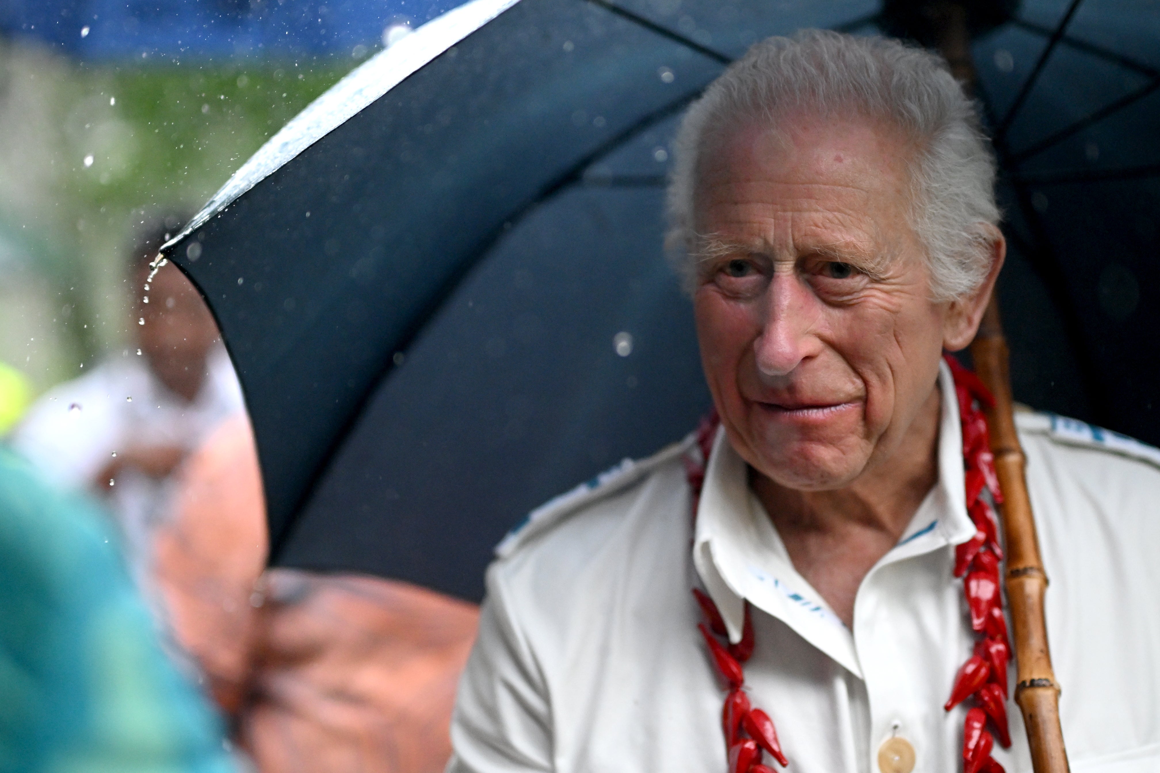 King Charles visits O Le Pupu-Pue National Park, the nation’s oldest park, on 24 October 2024 in Apia, Samoa