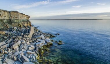 Estonia to Install Blade Buoys Along Water Border with Russia