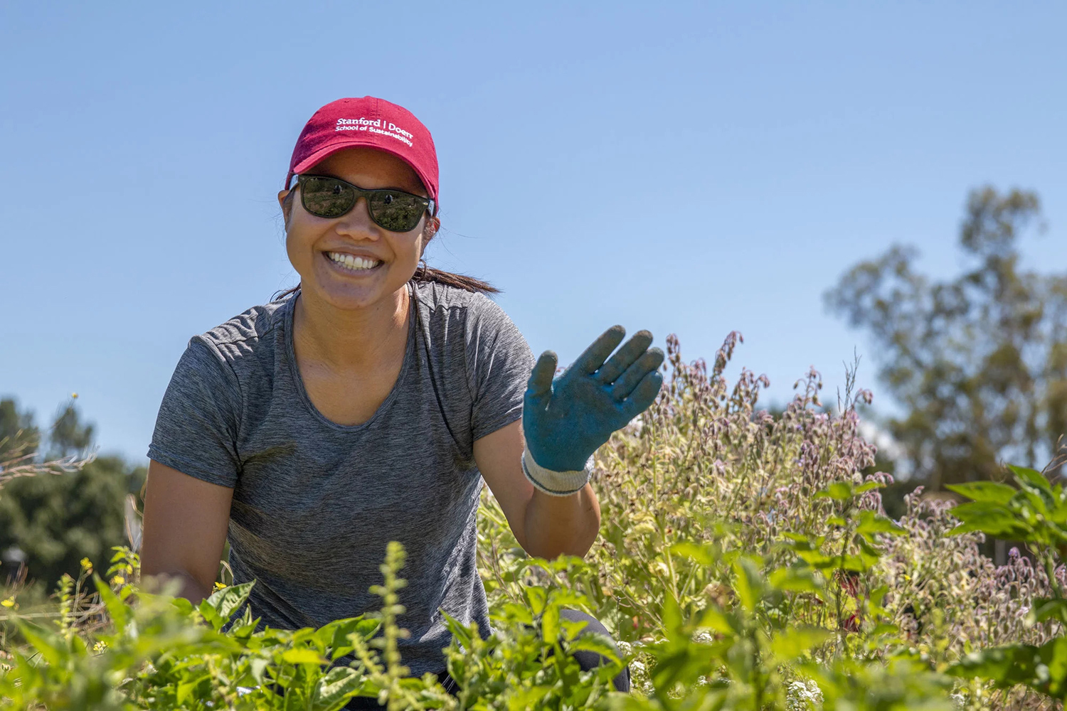 The Stanford Woods Institute for the Environment celebrates 20 years of transformative impact