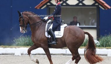 Charlotte Dujardin's British Team Horse Imhotep Sold to Austria