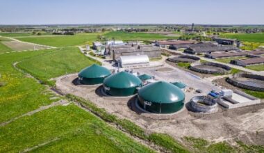 Amber Grid adds second biomethane injection point to Lithuania transmission network