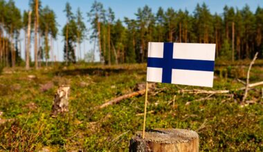 Finland's Carbon Sinks: Must Cut Logging by 25% or Miss Targets