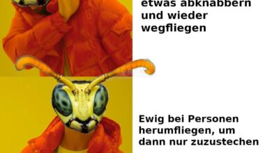 ich🦂iel