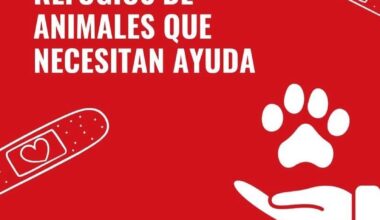 🐶🐱 en VLC necesitan ayuda