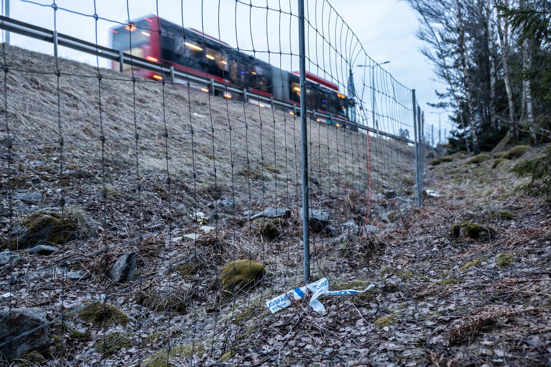 Väskan med kroppen hittades i ett skogsområde vid sidan av vägen.