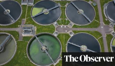 Revealed: water firms in England ‘passed’ pollution tests that were never carried out | Water