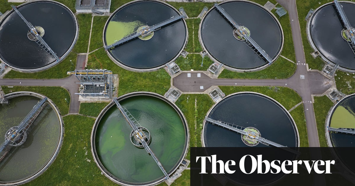 Revealed: water firms in England ‘passed’ pollution tests that were never carried out | Water