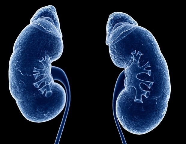 UK-DTOP tool promises improved outcomes for kidney transplant recipients