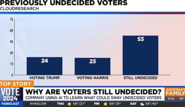 Why are some voters still undecided? AI poll offers answers