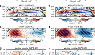 Early emergence and determinants of human-induced Walker circulation weakening