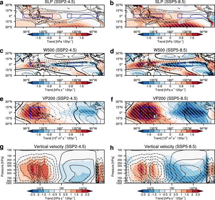 Early emergence and determinants of human-induced Walker circulation weakening