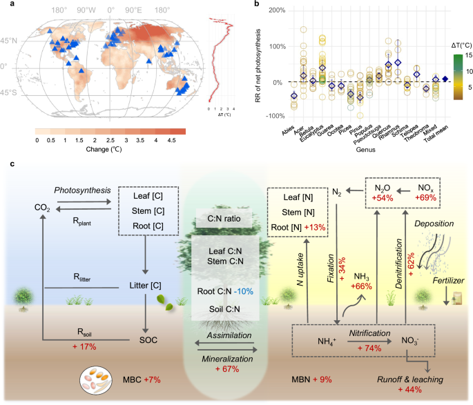 Warming exacerbates global inequality in forest carbon and nitrogen cycles