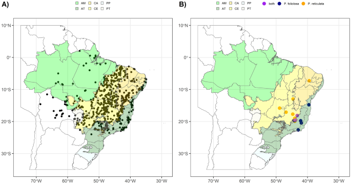 Non-adaptedness and vulnerability to climate change threaten Plathymenia trees (Fabaceae) from the Cerrado and Atlantic Forest