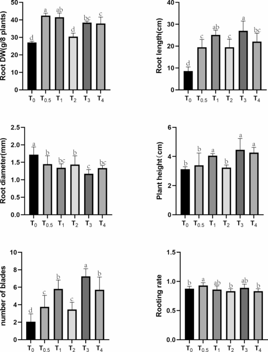 Multi-omics analysis uncovers the transcriptional regulatory mechanism of magnesium Ions in the synthesis of active ingredients in Sophora tonkinensis