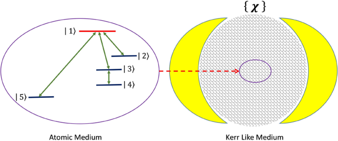 Dynamical evolution of a five-level atom interacting with an intensity-dependent coupling regime influenced by a nonlinear Kerr-like medium