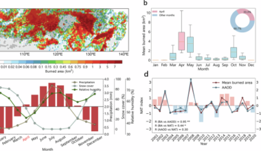 Future climate-driven escalation of Southeastern Siberia wildfires revealed by deep learning