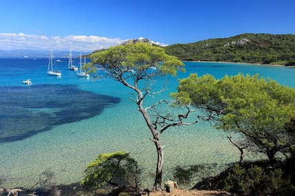 Die Insel Porquerolles ist autofrei und gilt als Naturparadies.