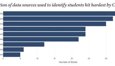 Which data sources did states use to identify students most impacted by the pandemic?