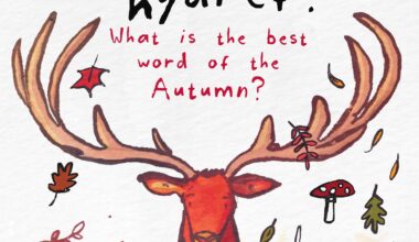 Best autumn word in Cymraeg