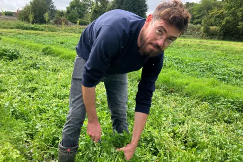 A man wearing wellies and glasses bends over in a field, harvesting watercress