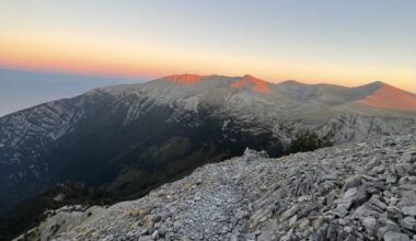 Τελικά πήγα Μύτικα, όλα καλα