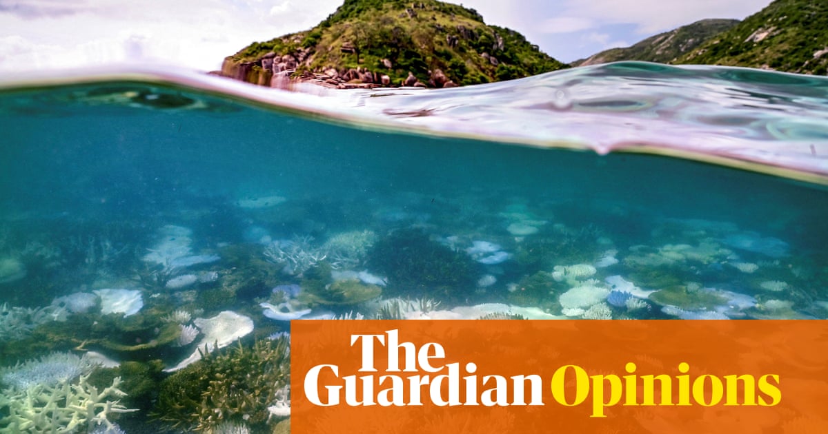 Bill Maher puts the fate of the Great Barrier Reef in the spotlight – but something’s missing from the soundbites | Graham Readfearn