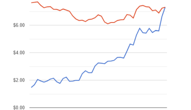 [OC] Bacon Prices Adjusted For Inflation | The Only inflation that Matters