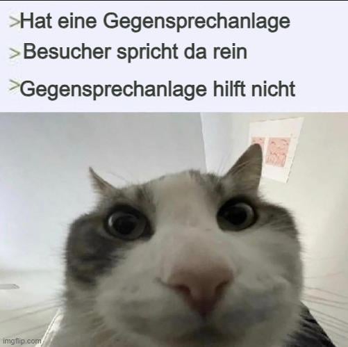 ich_iel