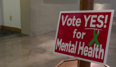 Local leaders push for half-cent mental health tax extension