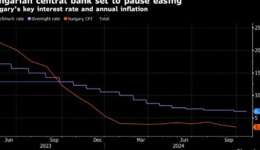 Decision Guide – BNN Bloomberg