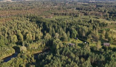 TEADUS | Eesti metsade juurdekasvu arvutatakse nüüd uue mudeliga