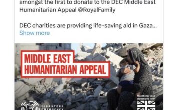 King Queen and Prince and Princess of Wales have made a private donation to DEC Middle East Humanitarian Appeal