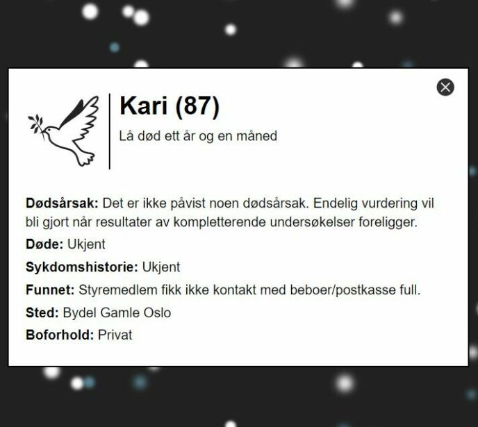 EN AV DE MANGE SOM LÅ DØDE: Eksempel fra oversikten Dagbladet har utarbeidet.