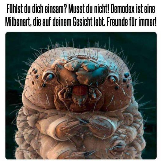 Du bist nie allein!