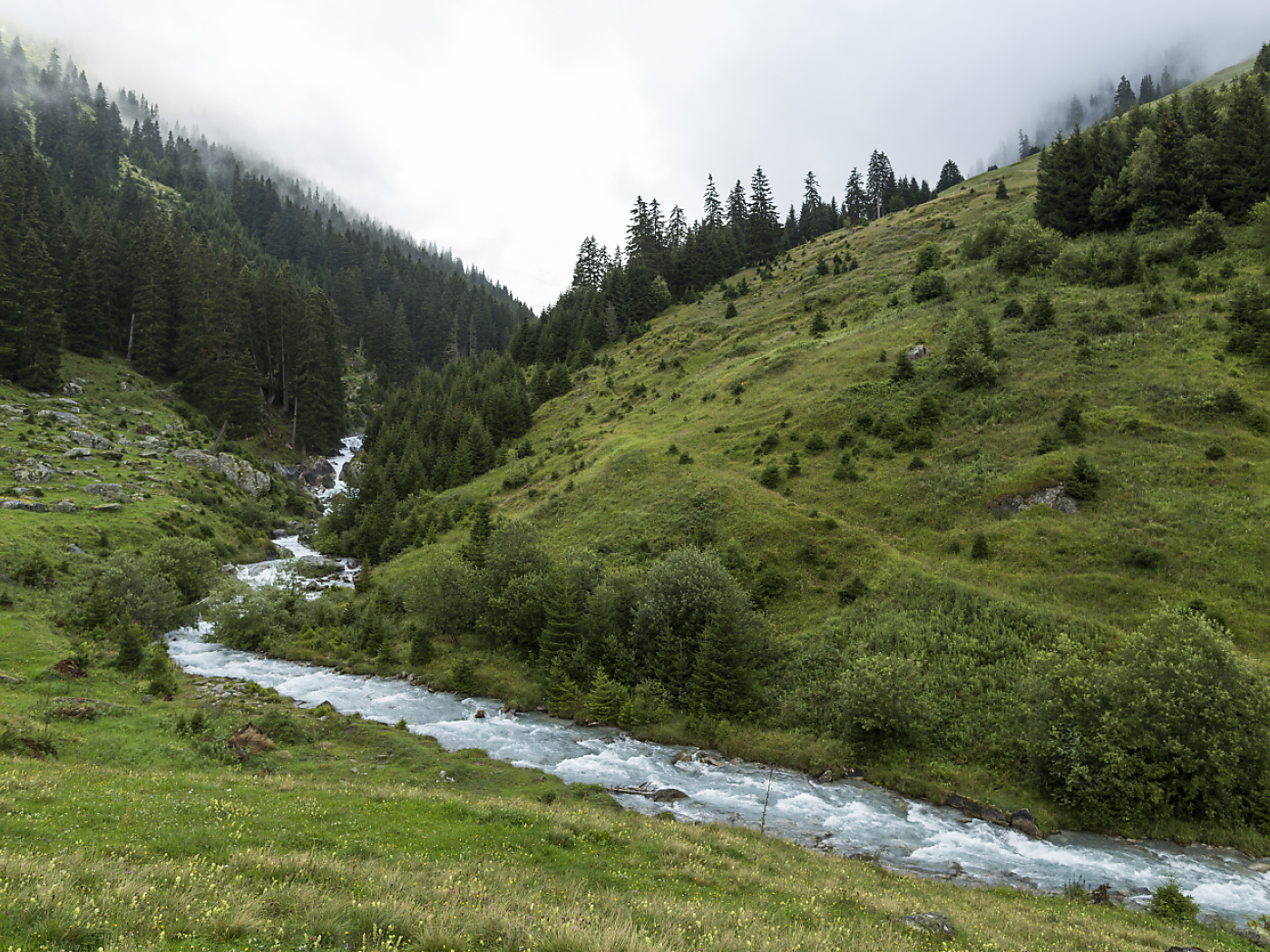 Rising water temperatures in European mountain waters