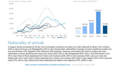 Italy Sea Arrivals Dashboard (August 2024) - Italy