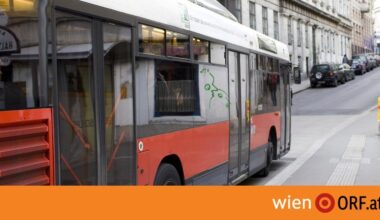 Entlassung von Buslenker nach Wolfsgruß rechtens