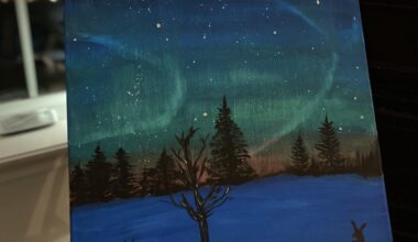 My painting is 18'24' inch. northern lights.