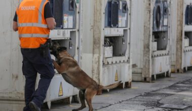 belgium s giant port of antwerp has become a major entry for cocaine being smuggled into europe file photo afp