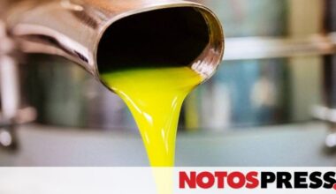 Λακωνία: Στα 10,20 ευρώ το κιλό άνοιξε η αυλαία για τα πρώτα ελαιόλαδα