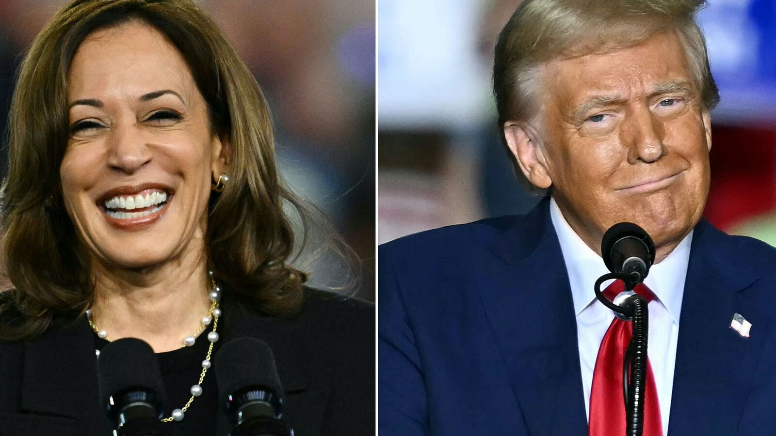 US Presidential Elections 2024: Stock market reaction to elections irrespective of Donald Trump or Kamala Harris' win