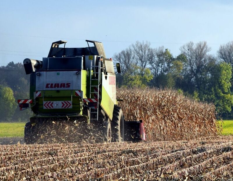 Corn Closes Higher Following Robust Ethanol Data