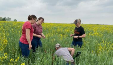 USDA expands climate-smart grant to pork producers in 12 states