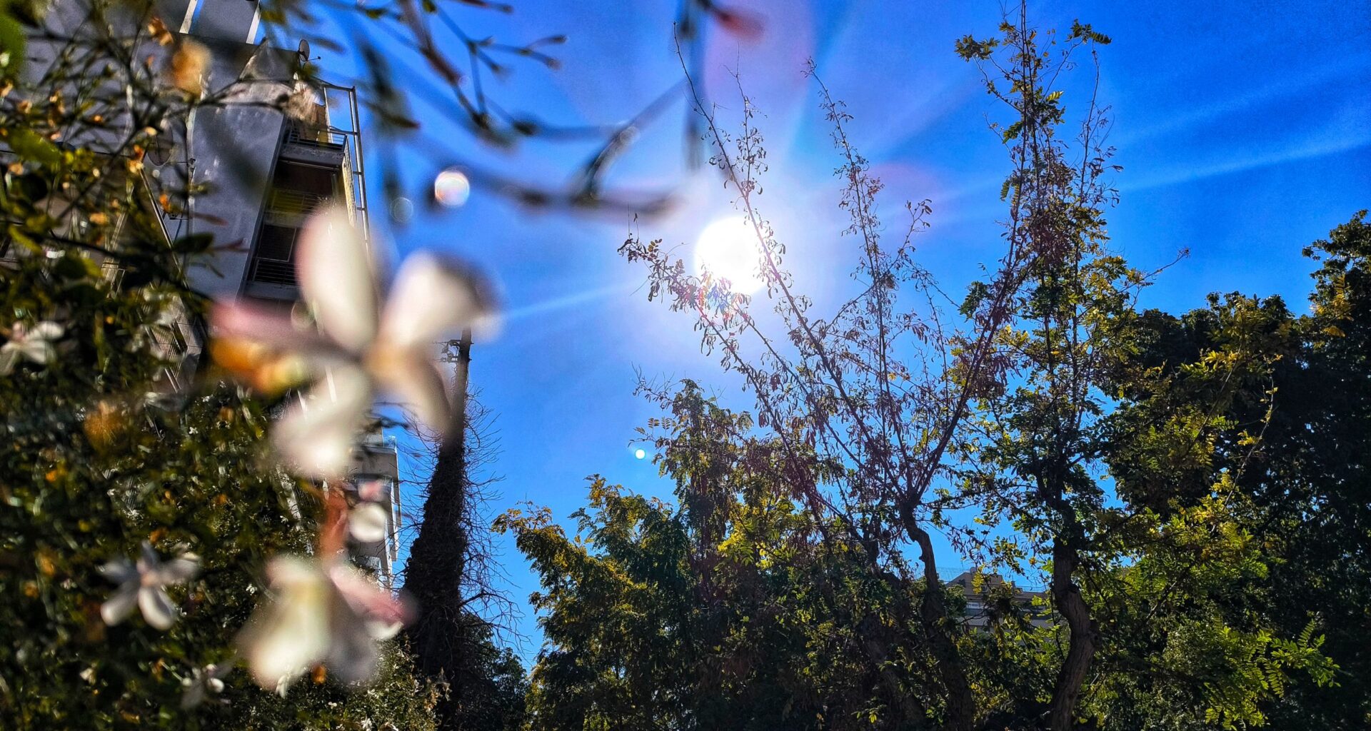 A Sunny Saturday across Greece